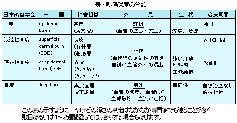 やけどと皮膚移植 傷についてもっと詳しく 傷と治療の知識 特定非営利活動法人 創傷治癒センター やけどと皮膚移植 傷についてもっと詳しく 傷と治療の知識 特定非営利活動法人 創傷治癒センター